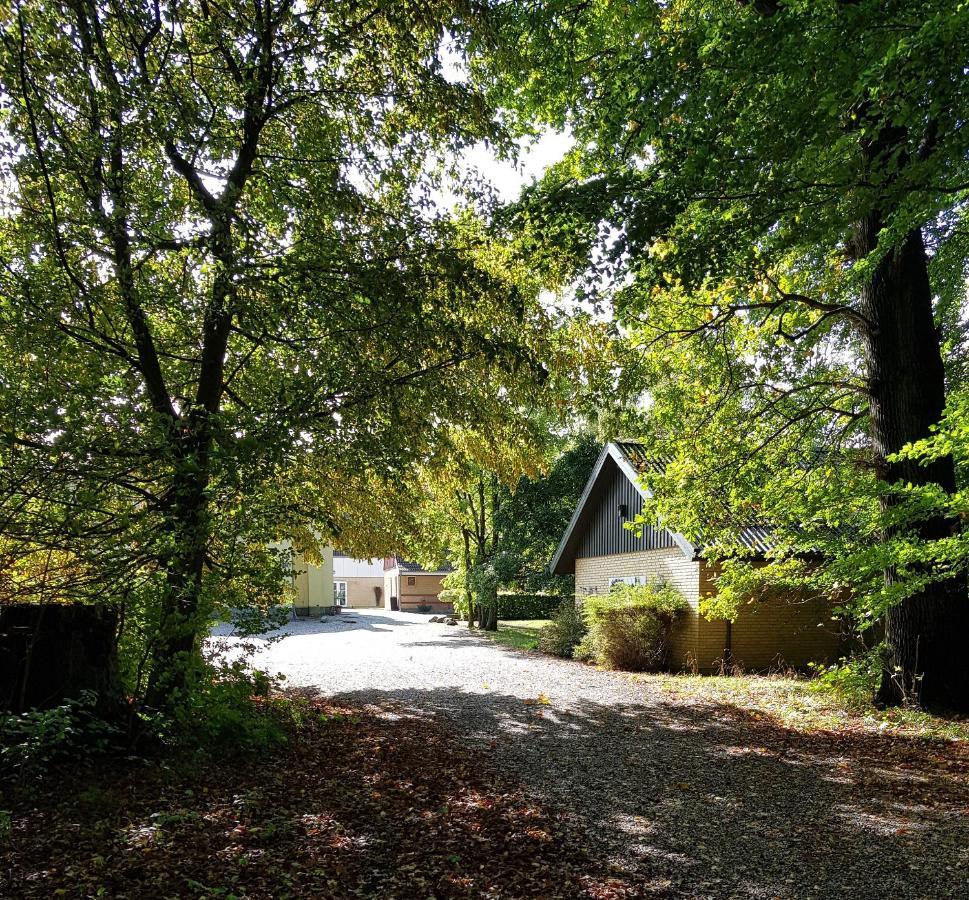 Pederstrup Bed And Breakfast Torrig Buitenkant foto