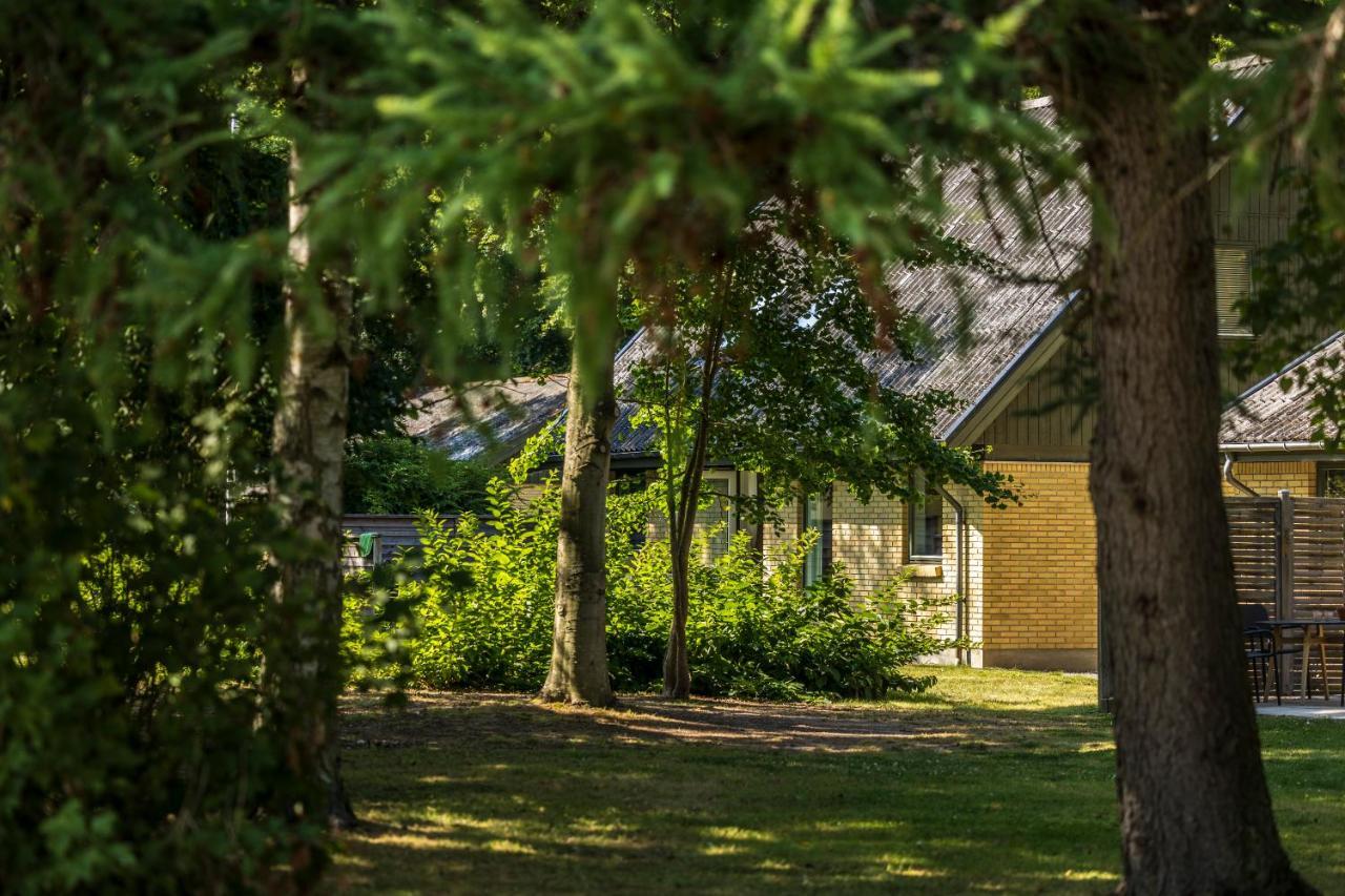 Pederstrup Bed And Breakfast Torrig Buitenkant foto